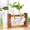 Glass and Wood Vase Planter Terrarium Table Desktop Hydroponics Plant Bonsai Flower Pot Hanging Pots with Wooden Tray Home Decor